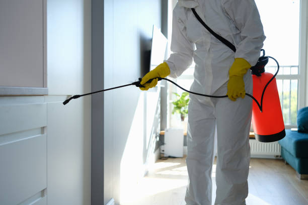 Trusted Westmont, PA Mold Removal Experts